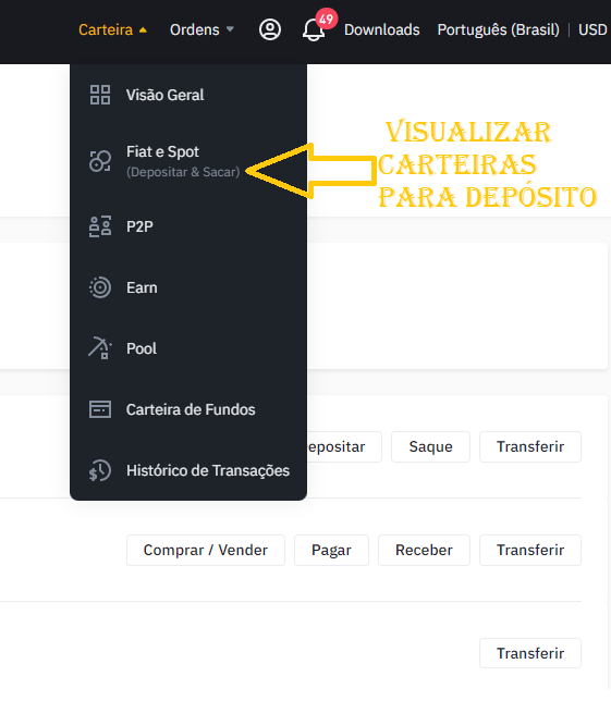 visualizar carteiras depósito binance